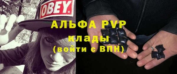 крисы Гвардейск