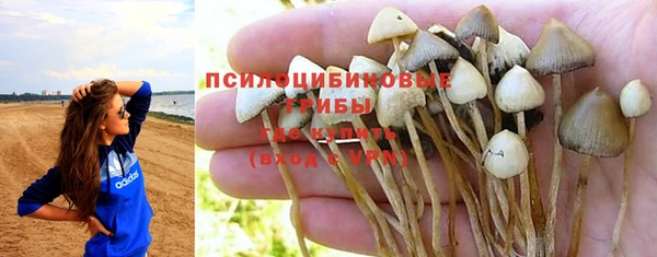 MDMA Premium VHQ Богородицк